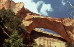 Der nach dem Landscape Arch im Arches Nationalpark grte natrliche Steinbogen der Welt: Der Kolob Arch<br/>Quelle: National Park Service